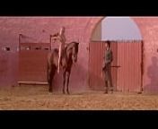 Bo Derek in Bolero (1984) - 6 from bo derek movies tarzan