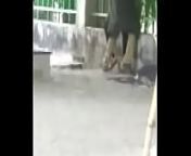 kiit university Bhubaneswar2nd yr couple fucking behind food court from sheikhpura food plaza mms videos bihar