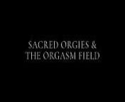 Sacred orgies and the orgasm field - with Orgasmicshaman.com from 12 chan org nudef gay