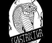 Constrictor - Desangrar (Demo 2016) from boa constrictor swallows cock