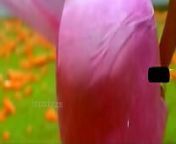 Isha Gopikar wet saree panty visible wet butt from transparent saree visible panty line pic