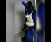 Lucario is Horny for YOU from trlaha