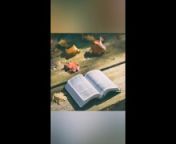 Leviticus 12-14 KJV (Full Bible Read Through Video #21) from 12 videos