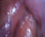 Cervix Point Of View During Fingering and Sex from www xxx ban nick