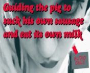 Guiding the pig to suck its own sausage and eats its own milk from download zombie horror porn full movies