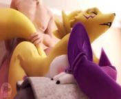 A day of relaxation from Renamon and tamer from reclamon