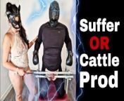 Femdom Cattle Prod or Suffer Spanking CBT Mistress Dildo Buttplug Bondage BDSM from wife karolina bitch