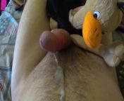 Soft toy - new entertainment! Goose rubs on my cock and he cums from husa sexvide