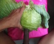 Playing With Cabbage With My Horny Big Black Cock And Balls For Dirty Desire part-1 from repollo