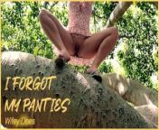 Wifes outdoor tree climbing no panties public nudity from tree climbing upskirt