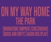On My Way Home: The Park - Erotic Audio Story from sharmili bits