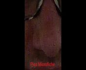 Piss Microfiche from travis deslaurier