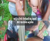 Srilankan Petite Village Girl Outdoor Sex - ඉස්කෝලේ නංගි කැලේ පැනලා දීපු සැප from indian village women without blouse armpit showtress samantha sexw sexy girl fucked har by 13 old boy xxx com