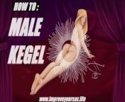 Male Kegel Exercises Audio JOI - How to have Better Erections & Last Longer ASMR Sex Education (F4M) from kujel