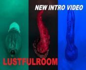 NEW LUSTFULROOM INTRO VIDEO from intro video